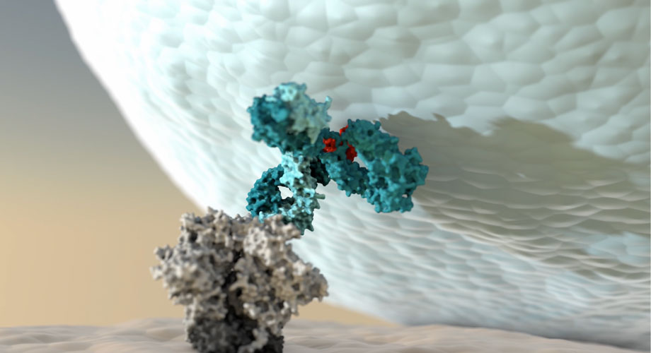 Scripps Research AI antibodies