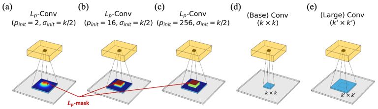 Lp-Convolution AI visual cortex demonstration