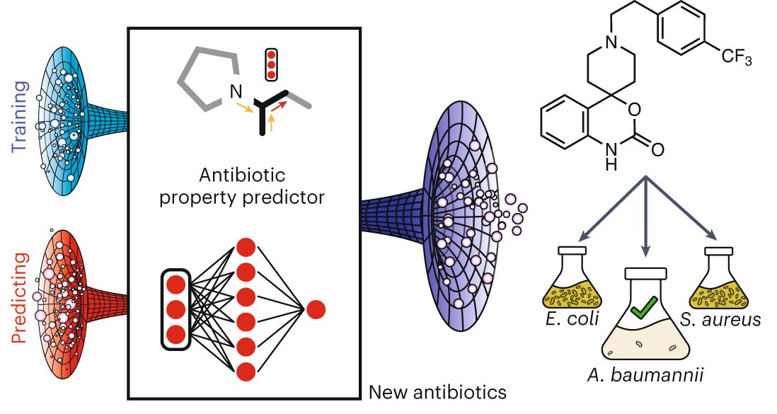 AI molecular antibiotic discovery lab