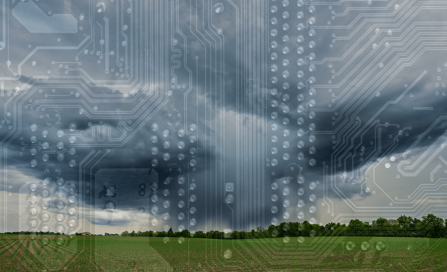 Chen Jiang weather AI